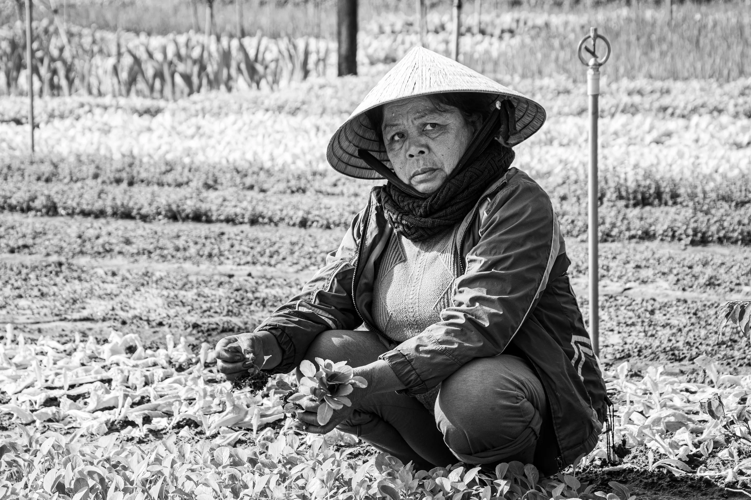 Black and white portrait