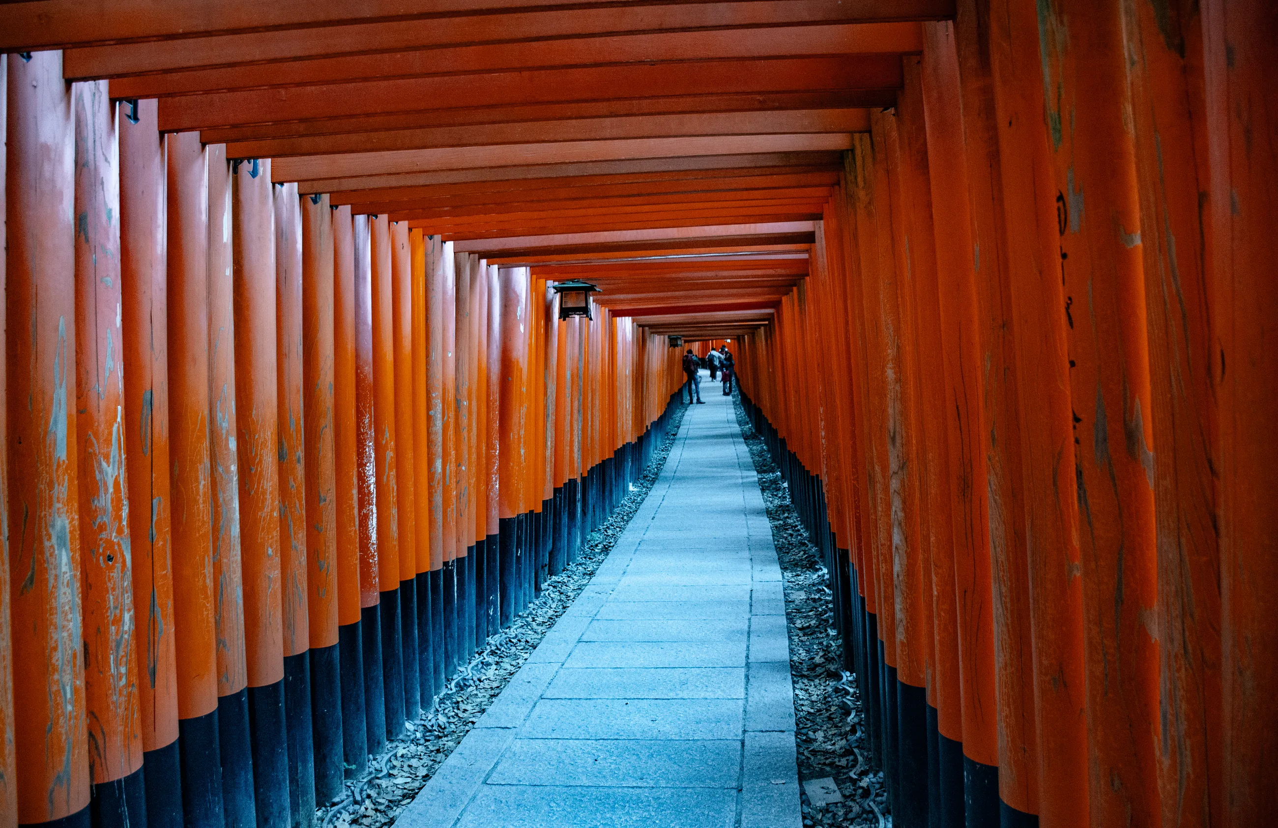 Japan Shrine to Inari