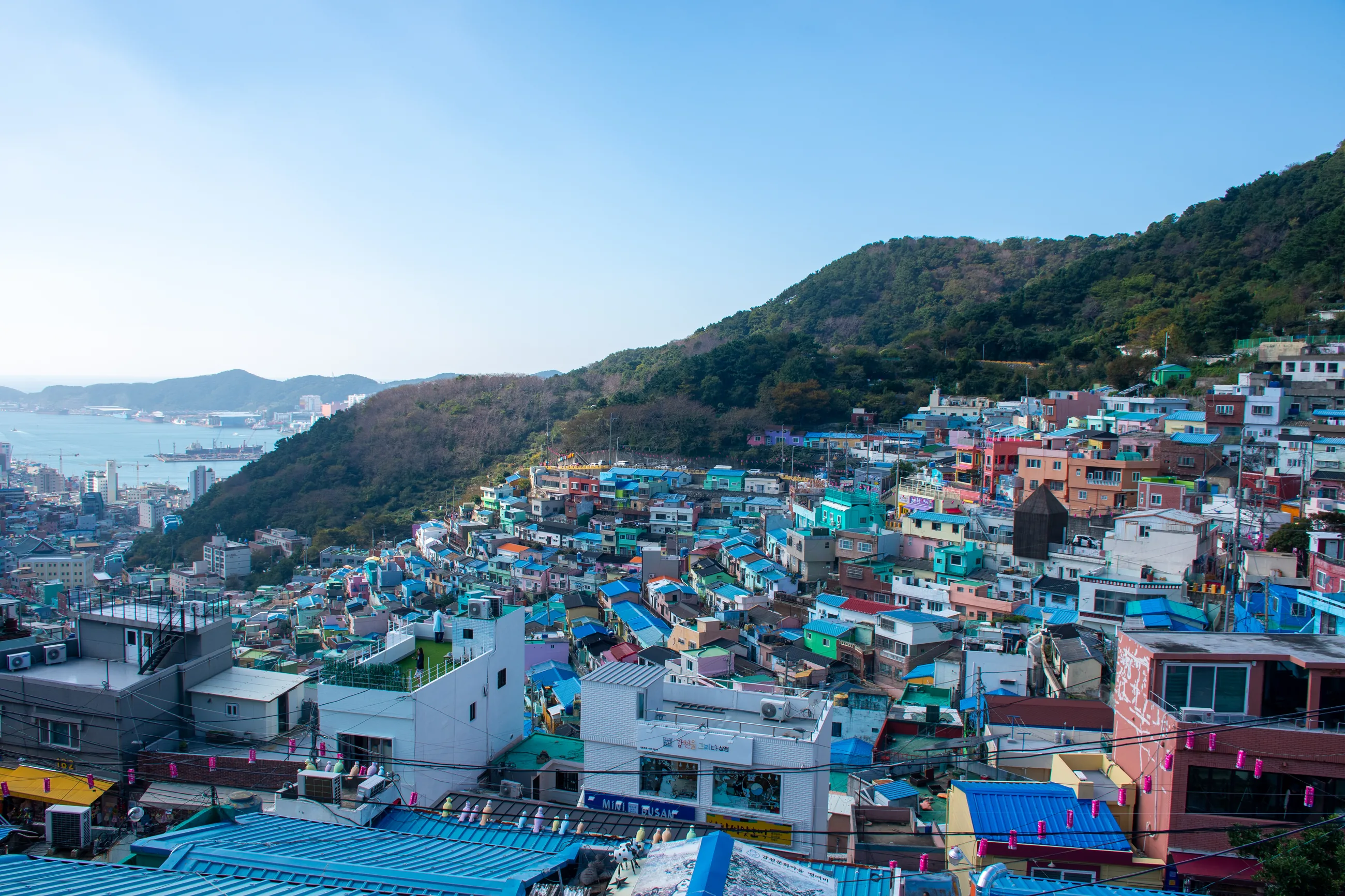 Korea 2025 street scene