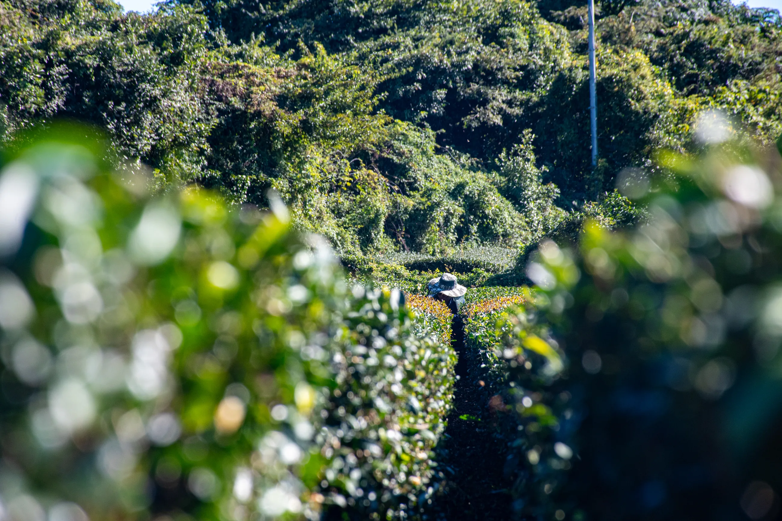 Korea 2025 night frame