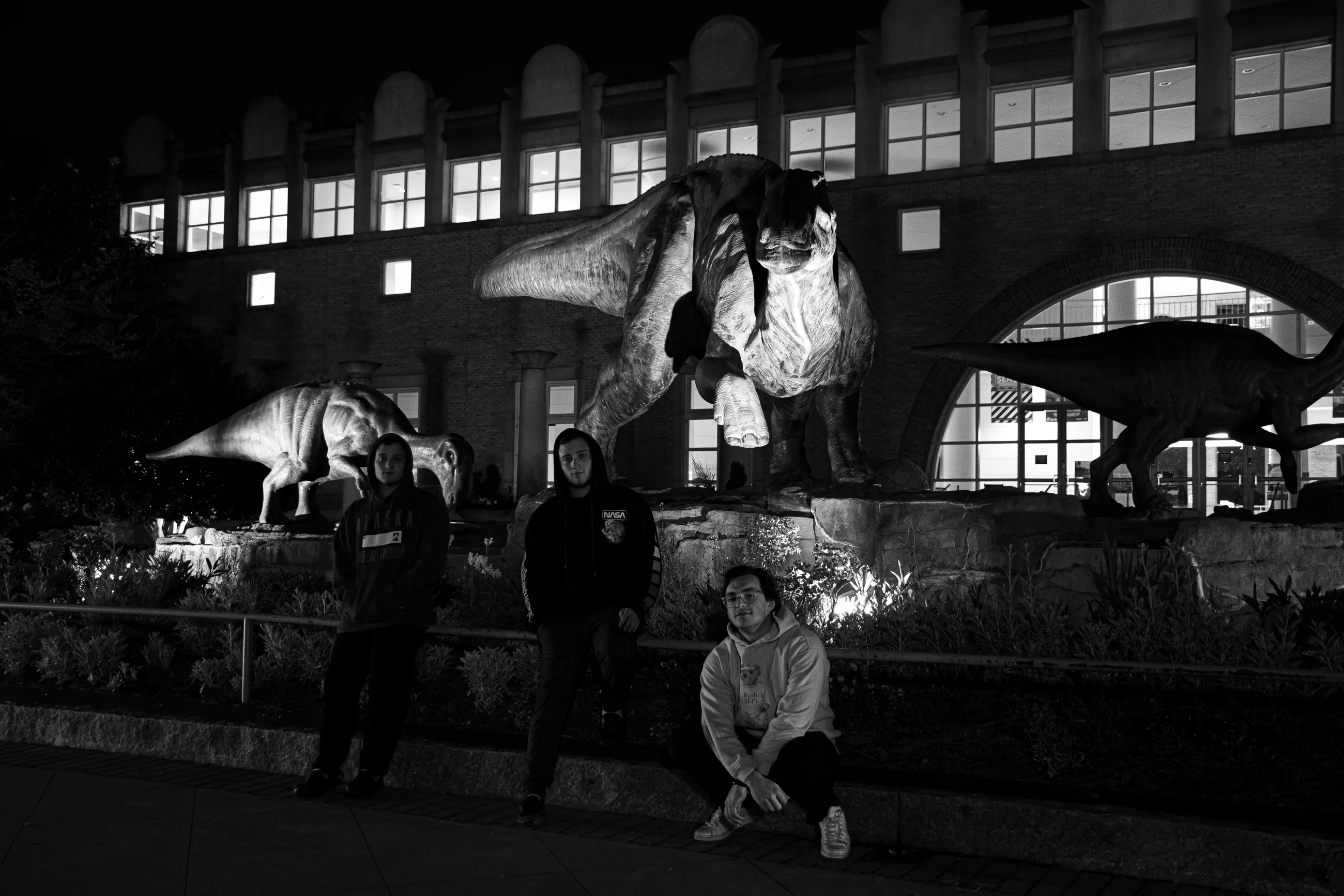 Me and twins dinosaur